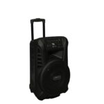 Speaker Acoustic AS1214 - Image 2