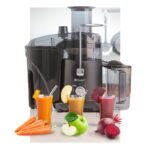 Juicer Dorsch DH-07412 - Image 2