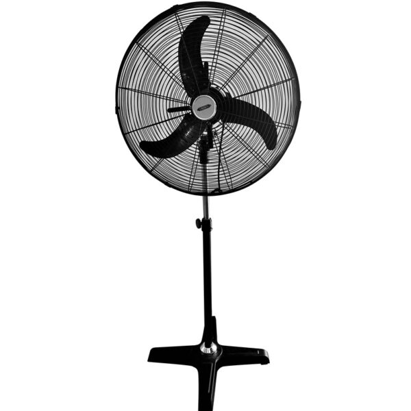 Fan Crown SF-2001