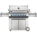 Barbecue Napoleon PRO665RSIBPSS-3-RC