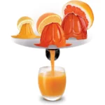 Citrus Juicer Moulinex PC603D10 - Image 2