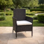 Chair Furniture 9392 Brown + Cushion Beige