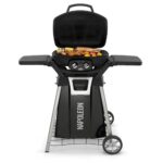 Barbecue Napoleon PRO285-BK Travel Q PRO + Stand