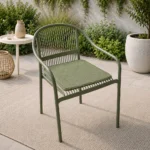 Chair FF DS75